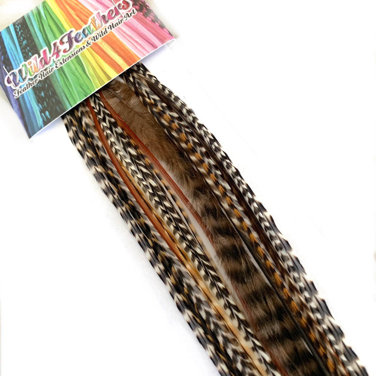 Bulk Hair Feather Extensions Natural Mix Real Rooster Feathers 100