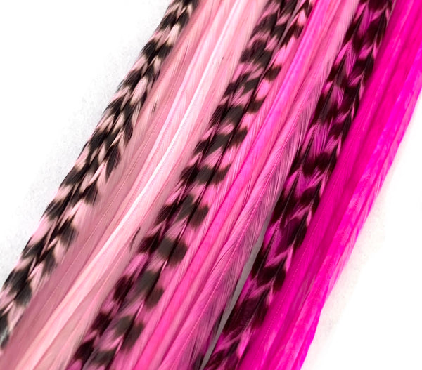 BabyPink Hair Feathers