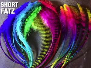 SHORT FATZ Feather 60pc SINGLE COLOURS
