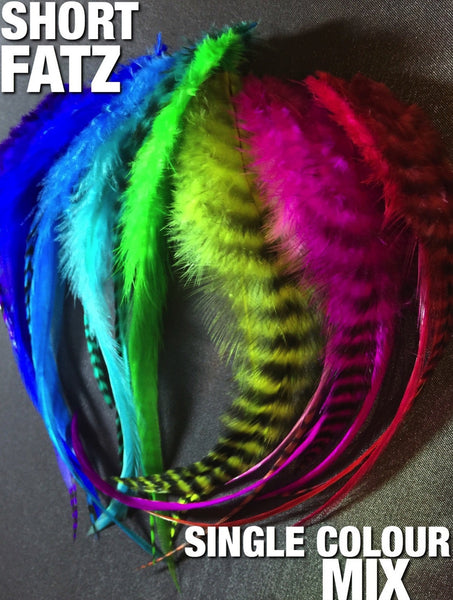 SHORT FATZ Feather Hair Extensions 60pc SINGLE COLOURS